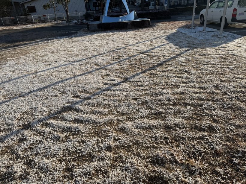 芝生に雪が積もっている